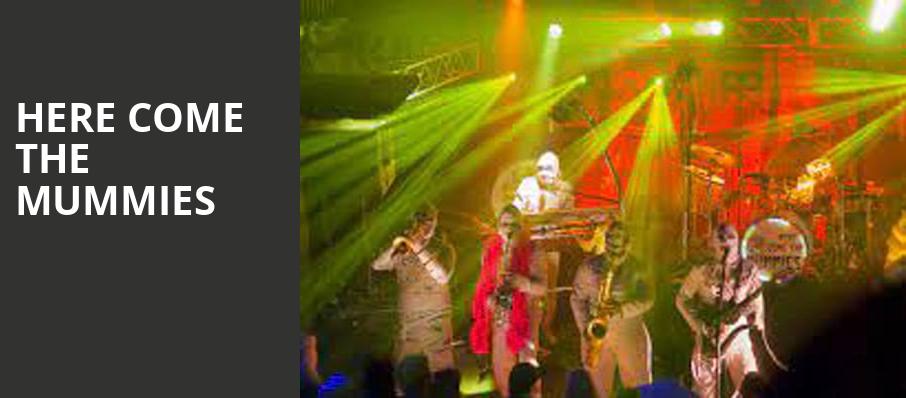 Here Come The Mummies, Amaturo Theater, Fort Lauderdale