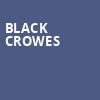 Black Crowes, Hard Rock Live, Fort Lauderdale