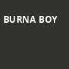 Burna Boy, Hard Rock Live, Fort Lauderdale