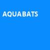 Aquabats, Revolution Live, Fort Lauderdale